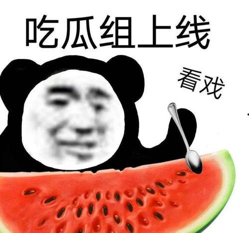 内蒙古黑料吃瓜,揭秘背后的真相与争议