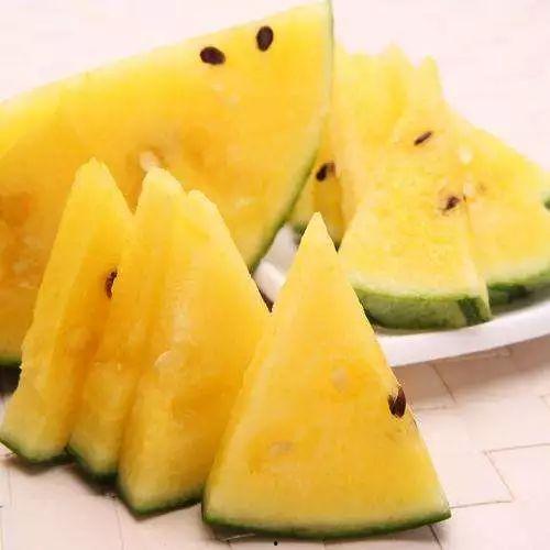 吃黑瓜