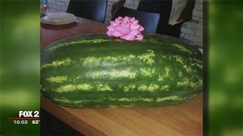 黑吃料吃瓜,揭秘娱乐圈背后的暗流涌动
