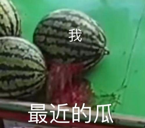 吃瓜黑不黑,揭秘娱乐圈幕后真相