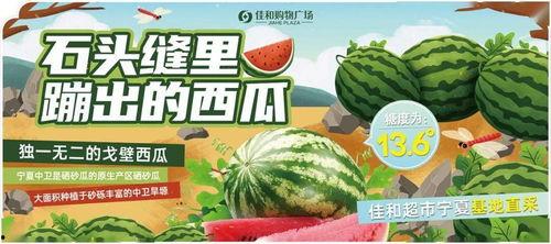 海外吃瓜 热门大瓜,揭秘热门大瓜背后的真相与内幕