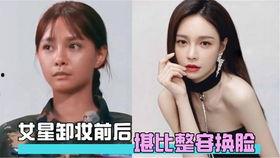 明星网红ai换脸网站,明星网红换脸网站揭秘