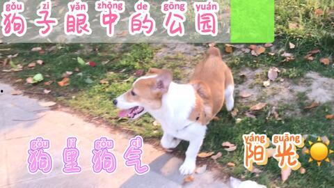 合集今日吃瓜 每日吃瓜,跟随“今日吃瓜”探寻娱乐圈新鲜事
