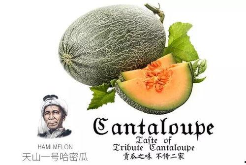 热门吃瓜大全,盘点娱乐圈最新最热八卦事件
