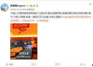 明星网红打卡,潮流风向标再升级