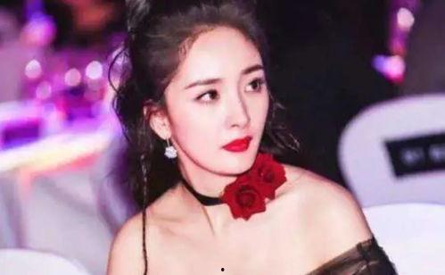 明星网红广告,明星网红效应下的广告新趋势