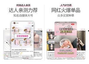 网红推荐明星网站,明星网站热门榜单大揭秘
