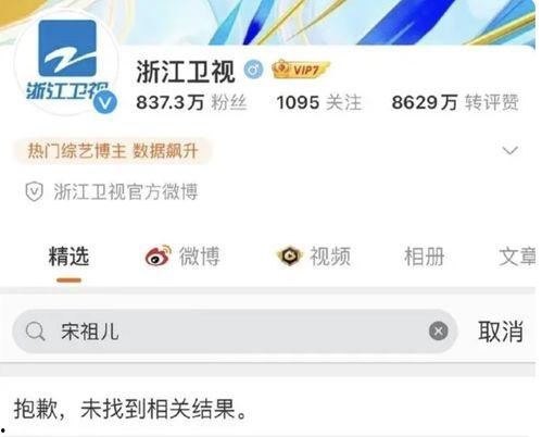 明星网红税务问题案例,案例分析及启示