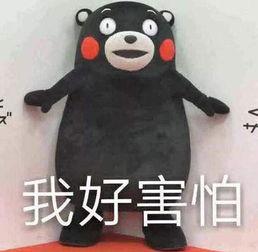 吃瓜热门事件,揭秘近期热门吃瓜事件背后的真相