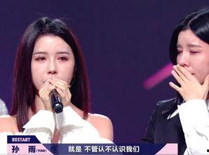 明星网红收入没有区别,打破界限，共创公平新篇章