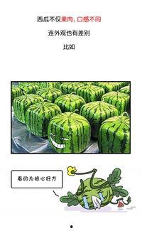 吃瓜网今日,今日热门事件深度剖析