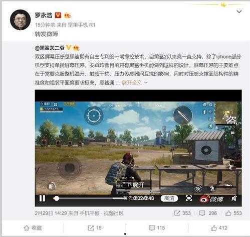 黑鲨吃瓜,揭秘海洋霸主吃瓜瞬间