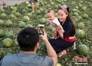 吃瓜中心热门,一网打尽娱乐圈风云