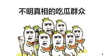 今日吃瓜 群众,群众视角下的热点事件盘点