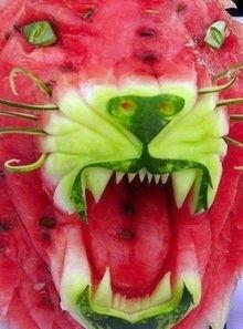 黑狐狸吃瓜,黑狐狸的瓜田奇遇记