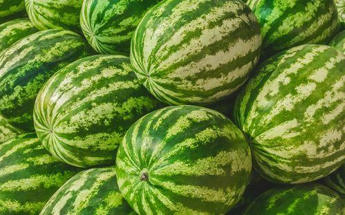 今日吃瓜大集,娱乐圈新鲜事盘点