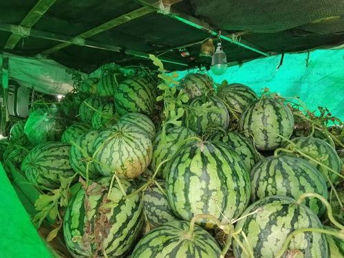 今日吃瓜大集,娱乐圈新鲜事盘点