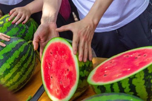 襄阳今日吃瓜,吃瓜群众聚焦热点事件