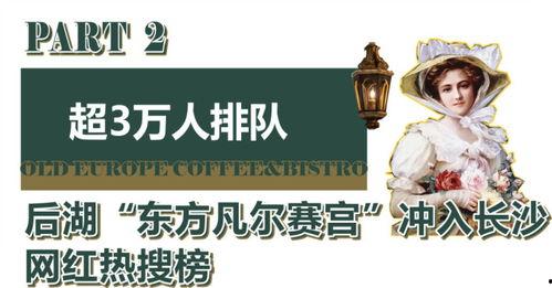 崇阳明星网红打卡地,探寻这座城市的时尚印记