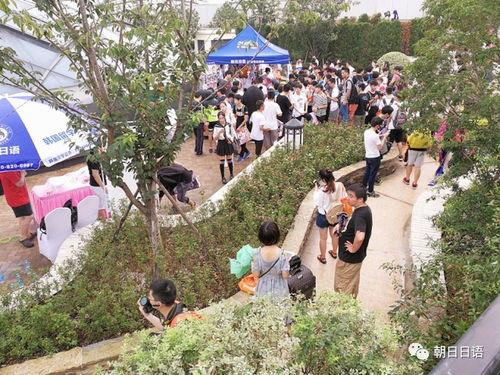 朝阳热门吃瓜,揭秘热门吃瓜事件背后的故事