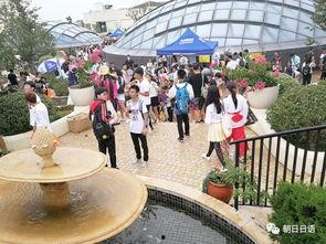 朝阳热门吃瓜,揭秘热门吃瓜事件背后的故事