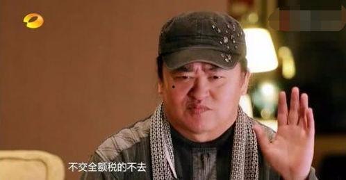 明星网红补税几年的,回顾数年税务整改历程