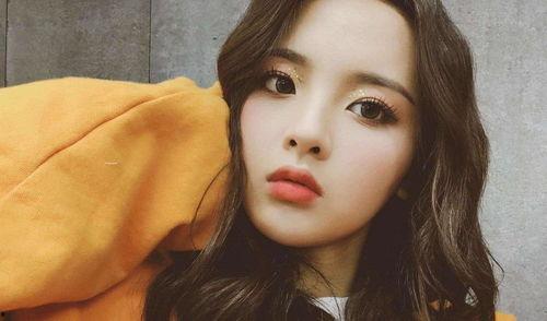 高中关注最多的明星网红