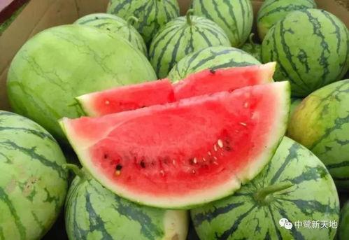 5今日吃瓜,盘点娱乐圈新鲜“瓜事”