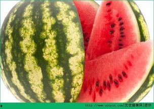 今日吃瓜每日吃瓜