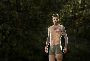 所有明星网红的腹肌,揭秘明星网红们的健身秘籍与塑形之道