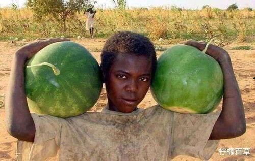 黑吃瓜网,网络舆论场中的暗流涌动