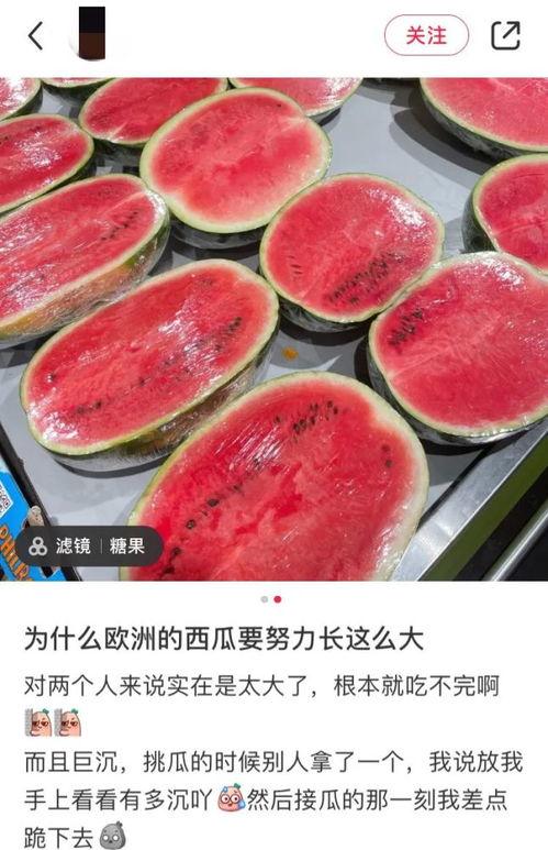 海外热门吃瓜,揭秘海外那些令人捧腹的“吃瓜”事件