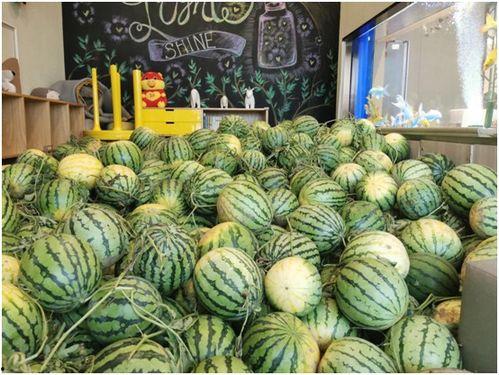 今日吃瓜1,揭秘娱乐圈最新热点事件