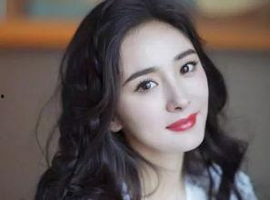 明星网红走红的有谁,揭秘网红明星的走红之路