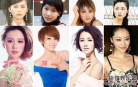 明星网红走红的有谁,揭秘网红明星的走红之路