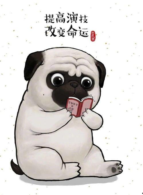 巴扎黑吃瓜,揭秘娱乐圈幕后风云