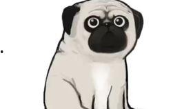 巴扎黑吃瓜,揭秘娱乐圈幕后风云