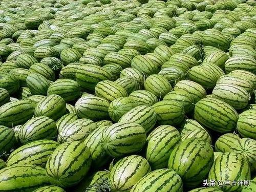 51爆料吃瓜今日吃瓜热门大瓜,今日热门大瓜，揭秘娱乐圈惊人内幕！