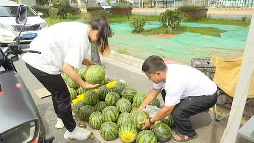 吃瓜黑科大,揭秘吃瓜黑科大的神秘面纱