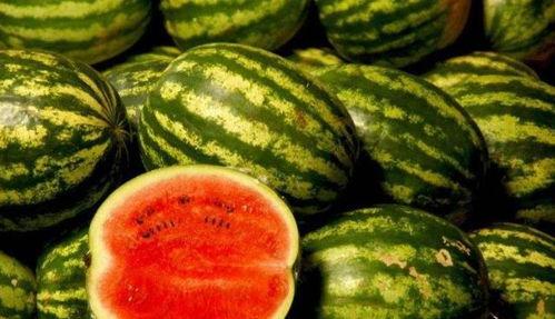 吃瓜黑科大,揭秘吃瓜黑科大的神秘面纱