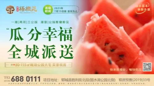 丽水今日吃瓜,瓜田里的新鲜事儿