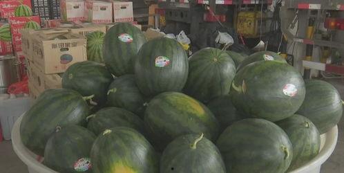 吃瓜网必看大瓜今日吃瓜,今日热点事件深度解析