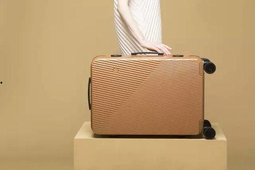 明星网红同款旅行箱,出行必备时尚单品