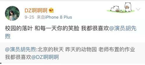 明星网红区别文案,揭秘两者间的差异与魅力