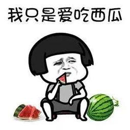 瓜地吃瓜娱乐圈,娱乐圈的甜蜜与苦涩