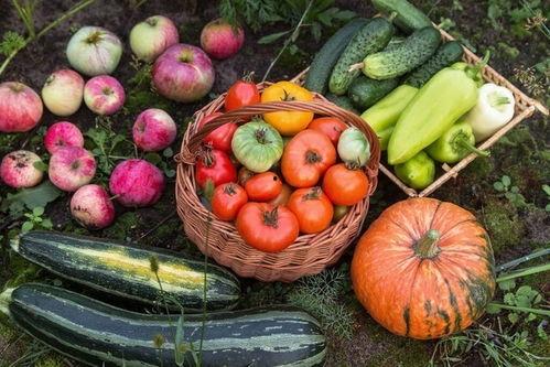 九五热门吃瓜,揭秘娱乐圈最新热点事件