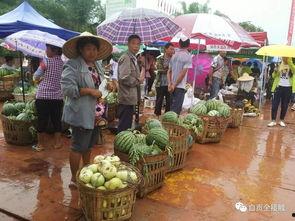 九五热门吃瓜,揭秘娱乐圈最新热点事件