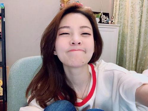 明星网红事件,揭秘幕后真相与公众舆论风暴