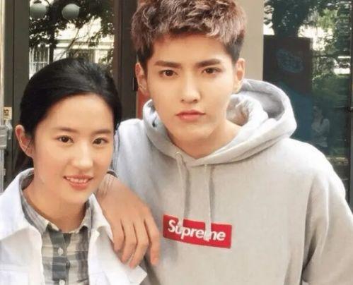 明星网红事件,揭秘幕后真相与公众舆论风暴