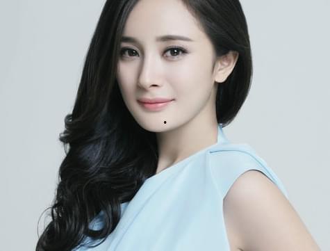 明星网红公司,引领潮流的数字影响力新纪元